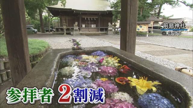 画像: コロナ禍、神社で「早く収束を」とお願いして「花手水」…参拝者「癒される」　静岡・藤枝市