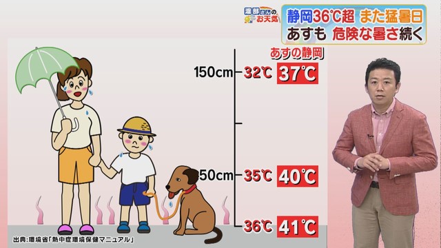 画像: 地面付近が高くなる