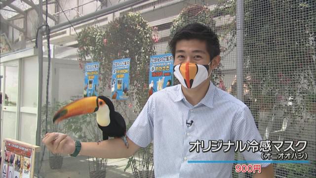 画像: 須藤アナとオニオオハシ