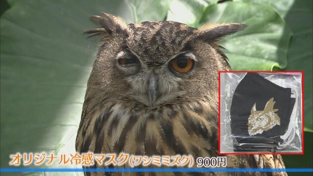 画像1: 全部で6種類