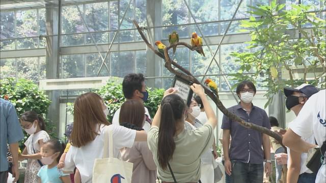 画像2: 全部で6種類