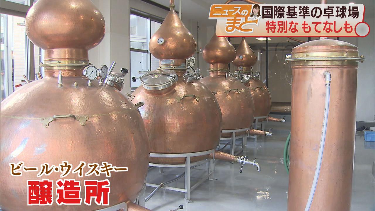 画像2: 国内最大級の卓球場 社長「著名選手を出している静岡につくれば愛好家が増える」