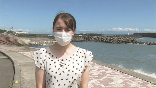画像: 静岡市の用宗漁港では…