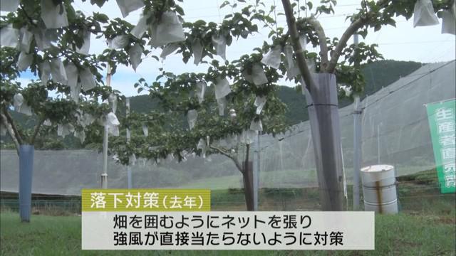 画像2: おととしは75万円の被害