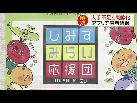 画像: マッチングアプリで農業バイト 学生が気軽に働くギンナン農家 静岡市 youtu.be