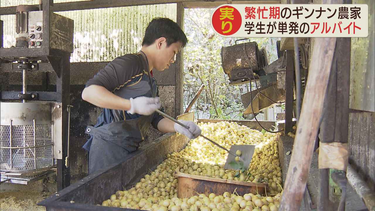 画像: 農業に幅広い人材　アプリで応募