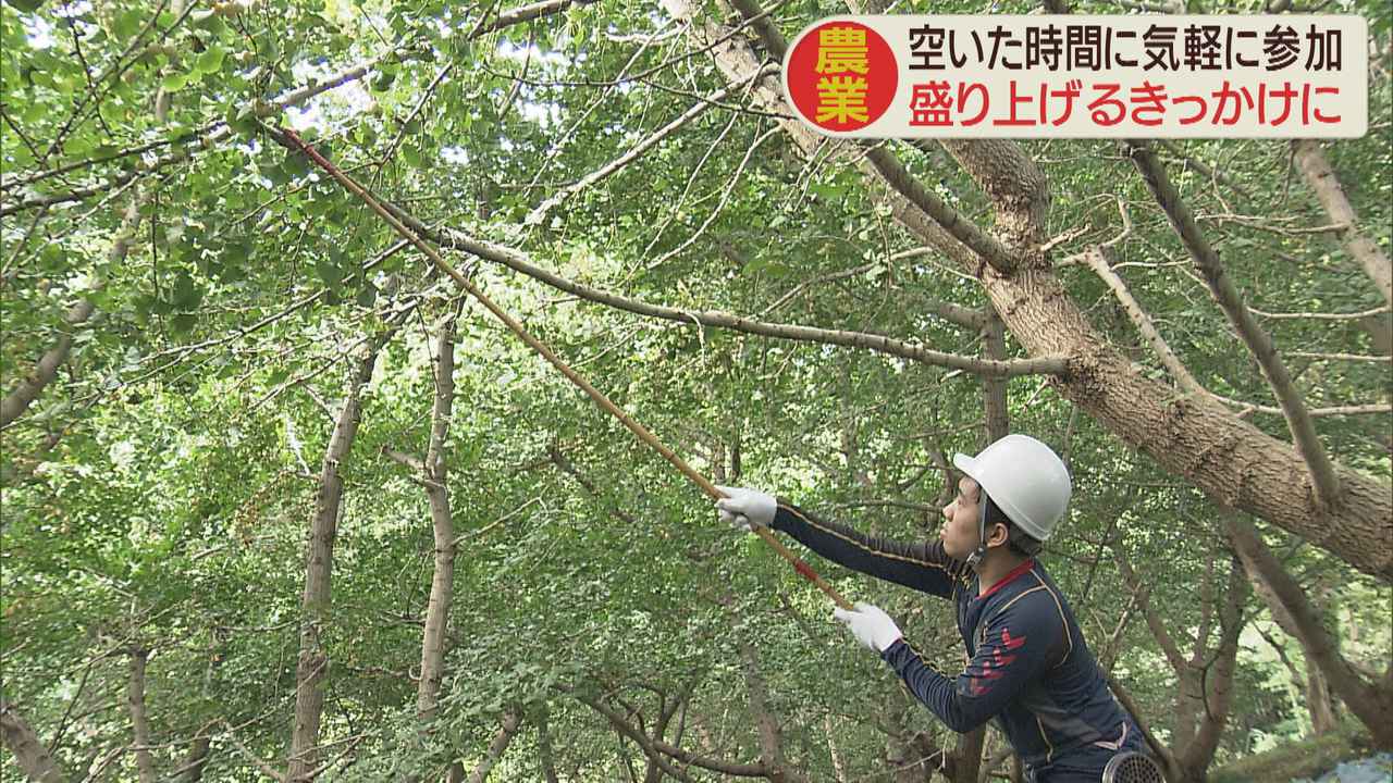 画像1: 農業バイト　1日の流れ