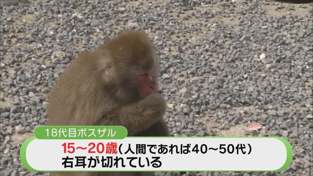 画像3: 総理交代を予言…!?