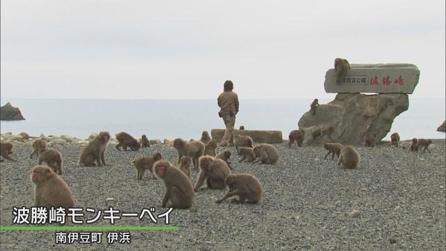 画像1: 総理交代を予言…!?