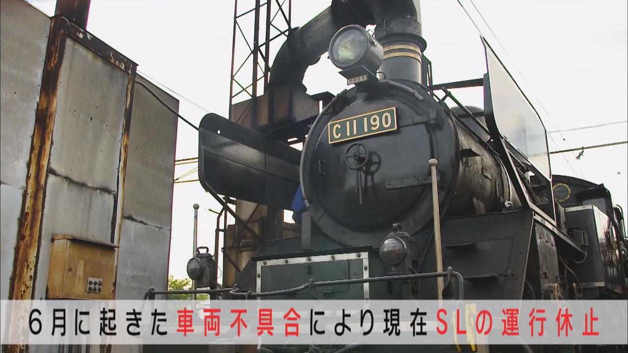 画像2: 新型コロナで打撃の大井川鉄道 25歳リーダーの再起にかける思いと行動力 静岡・島田市