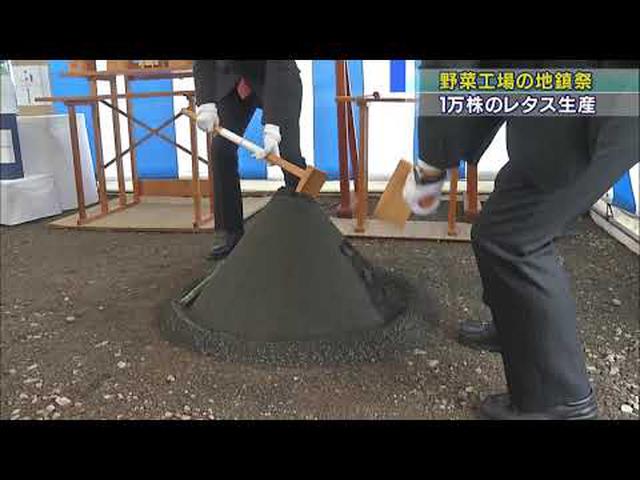 画像: 野菜工場建設、来年6月完成予定 1日に1万株のリーフレタスの生産が可能 静岡・三島市 youtu.be