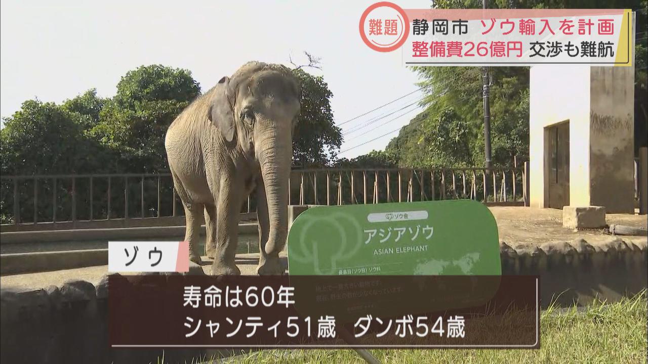 画像1: ゾウ4頭を輸入して環境を整えるのに26億円　静岡市