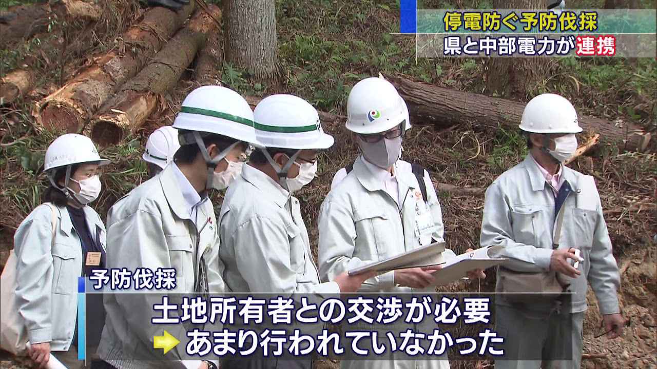 画像: おととし台風で長期間停電…山間部では6割が倒木が原因 「予防伐採」の取り組み始める 静岡県 youtu.be
