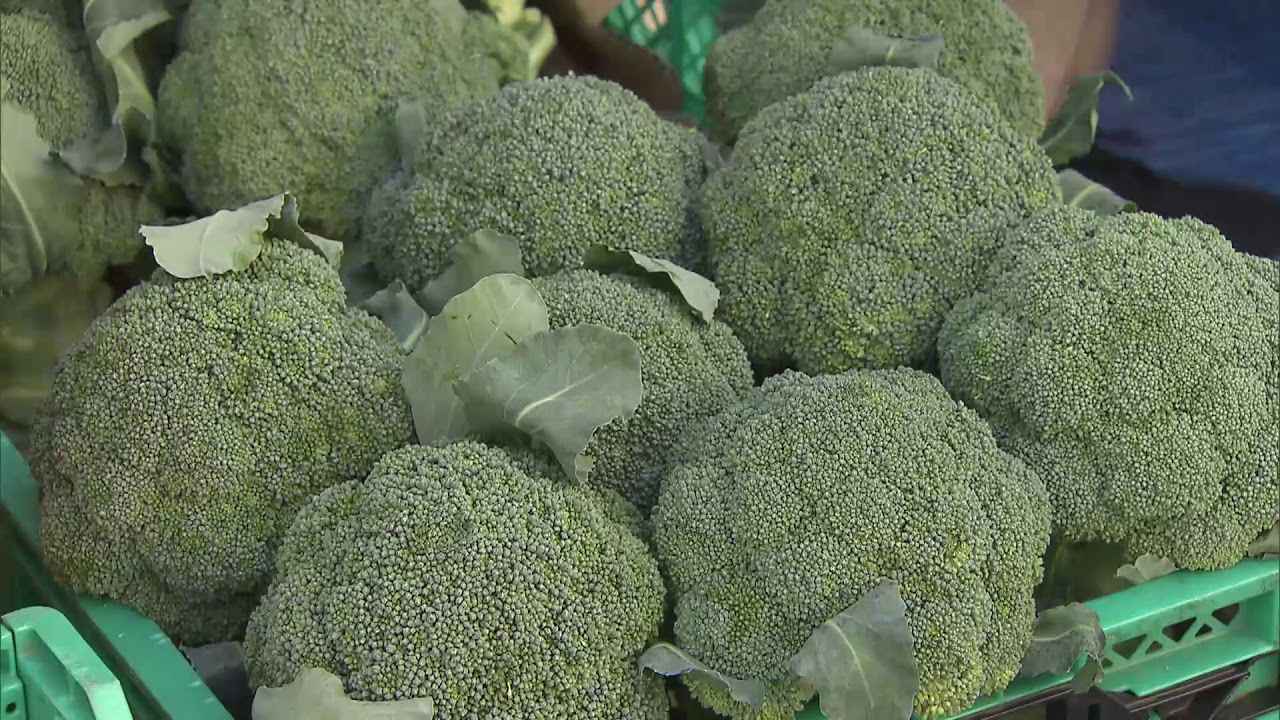 画像: 生産者を応援…「山梨物産市inしずおか」 山梨県の特産品を静岡市で販売 youtu.be
