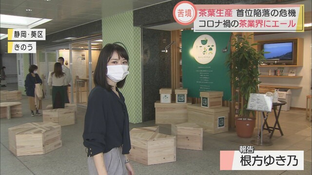 画像: 「お茶の炭酸割り」 お茶の新たな楽しみ方を模索