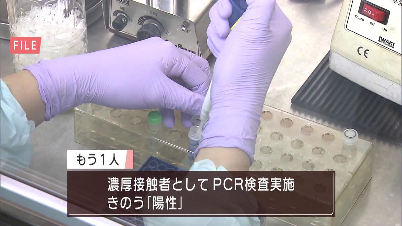 画像: 【新型コロナ】静岡市の2人は首都圏で感染か 浜松市、湖西市でも 静岡県で新たに4人が感染 youtu.be