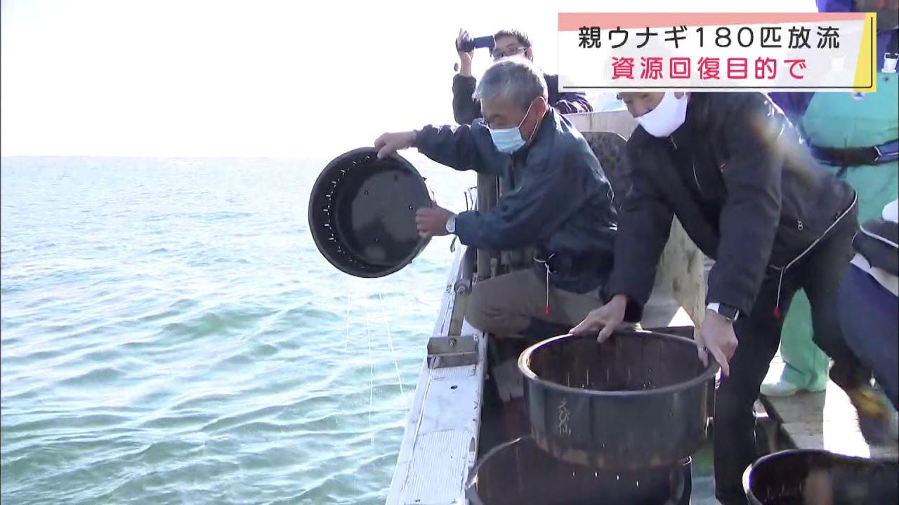 画像: 資源回復のためウナギを放流 浜松市 youtu.be