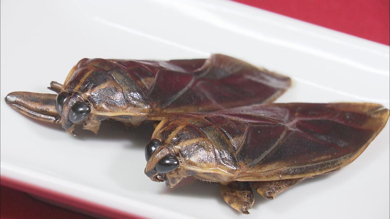 画像: 昆虫食