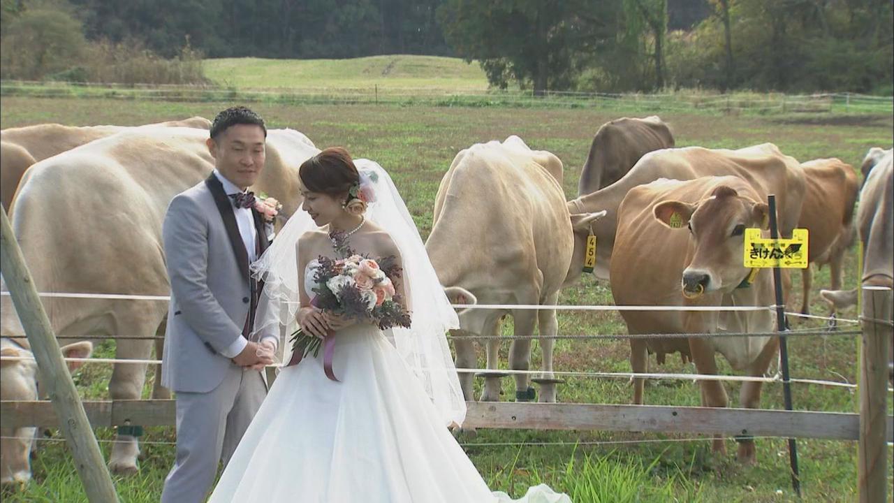 画像1: コロナ禍の新定番？　3密避け、牧場で結婚式　入刀はチーズで　静岡・富士宮市
