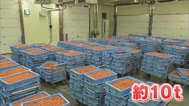 画像1: 初日上回る水揚げが…　組合長「少しずつ量が増えてくればいい」