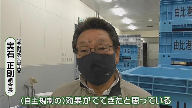 画像2: 初日上回る水揚げが…　組合長「少しずつ量が増えてくればいい」