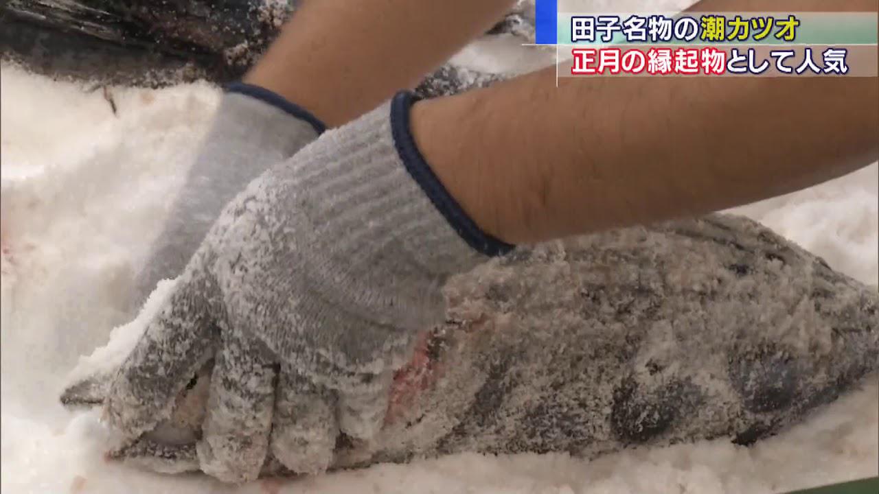 画像: 初冬の風物詩…潮カツオづくり始まる 静岡・西伊豆町 youtu.be
