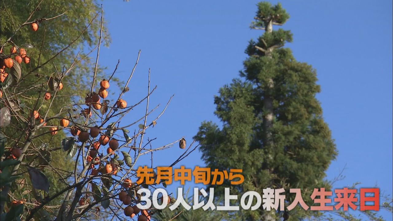 画像: 来日後、2週間は自宅待機