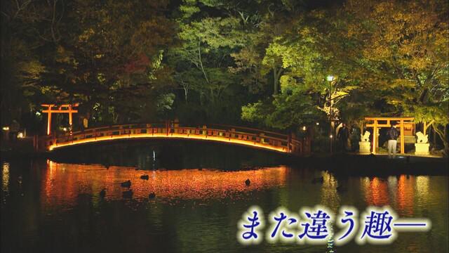 画像4: 富士山本宮浅間大社
