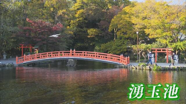 画像3: 富士山本宮浅間大社