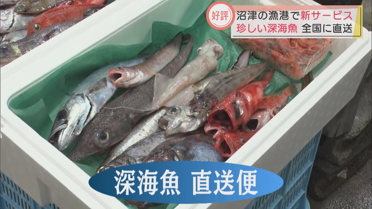 画像: コロナ禍で人気急上昇「深海魚直送便」が漁師を救う 戸田漁港