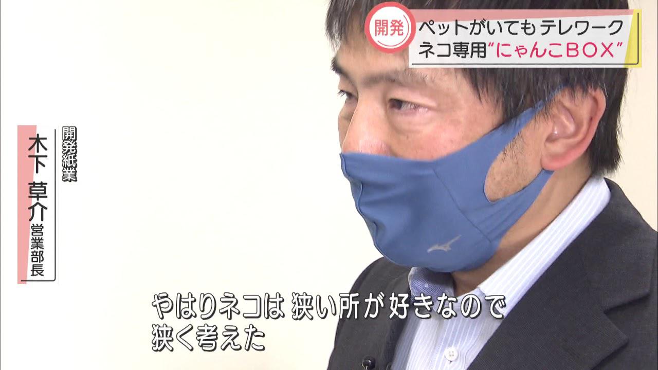 画像: ネコが喜ぶ「にゃんこBOX」ネコがいる家庭のテレワークに youtu.be