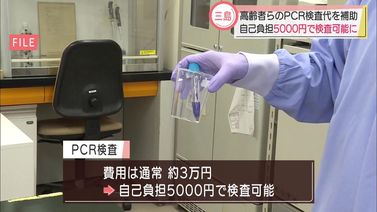 画像: 自己負担5000円でPCR検査を実施　静岡・三島市 youtu.be