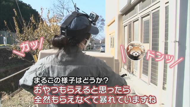 画像: おやつをもらえると思ったのに…