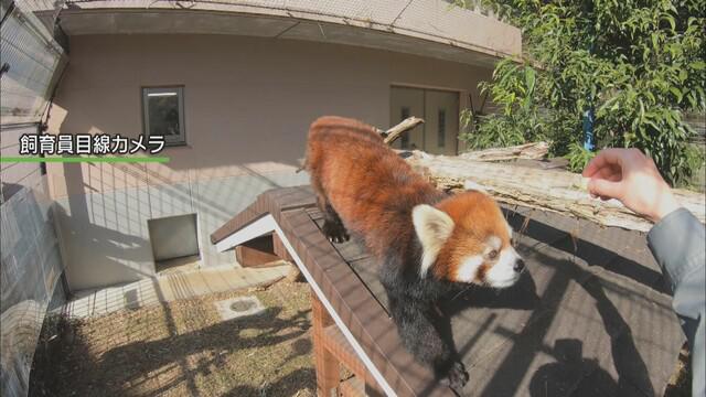 画像1: 最後の日…ファンも集まり