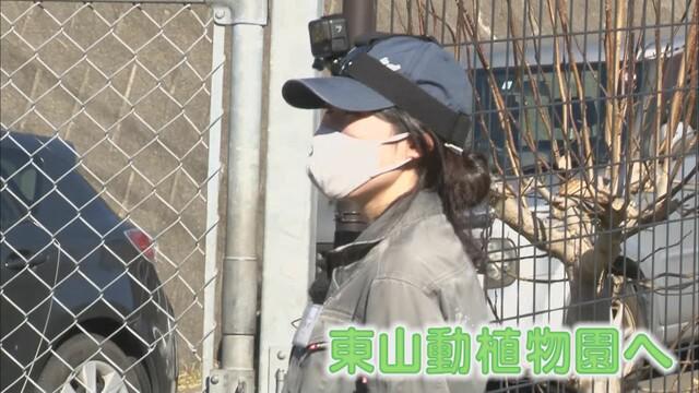 画像: 名古屋でまるこに会えるのは来年1月
