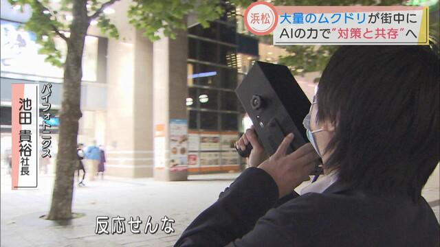 画像1: ところが、大群は再び元の木へ