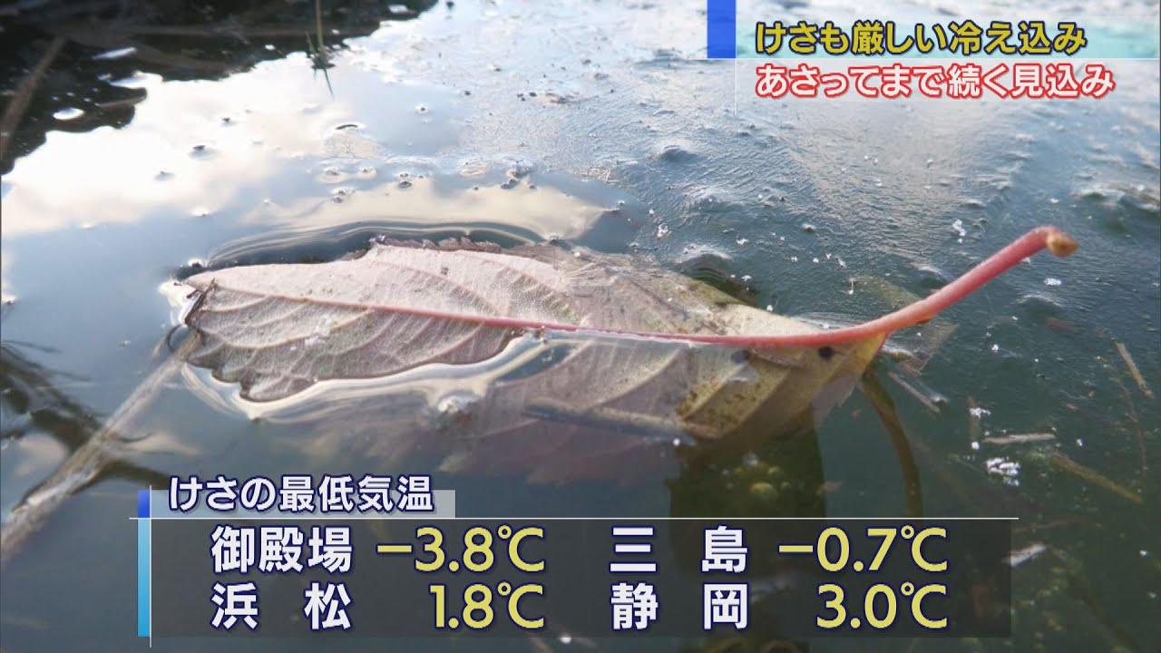 画像: 今シーズン一番の冷え込み 御殿場でマイナス3.8度、三島でマイナス0.7度…7地点で氷点下 静岡県 youtu.be