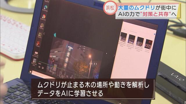 画像2: ところが、大群は再び元の木へ