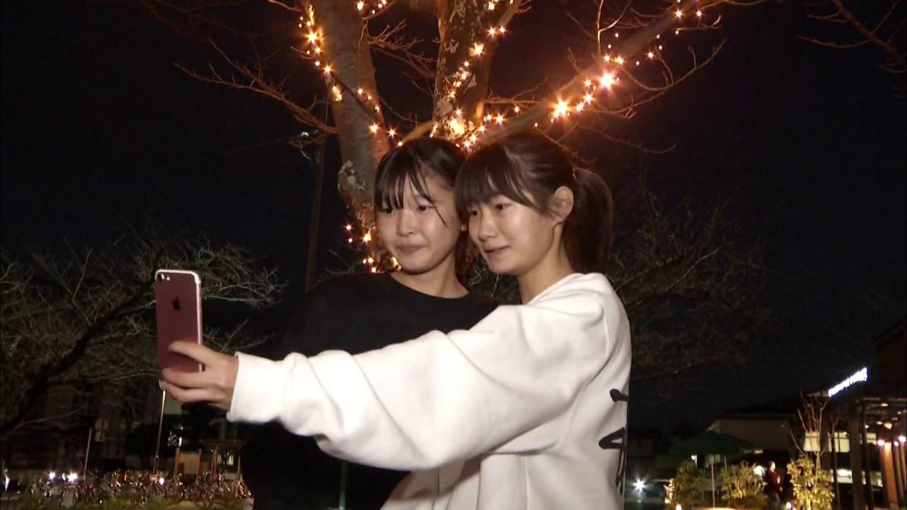 画像: 夜の蓮華寺池公園にイルミネーション 藤枝市 youtu.be