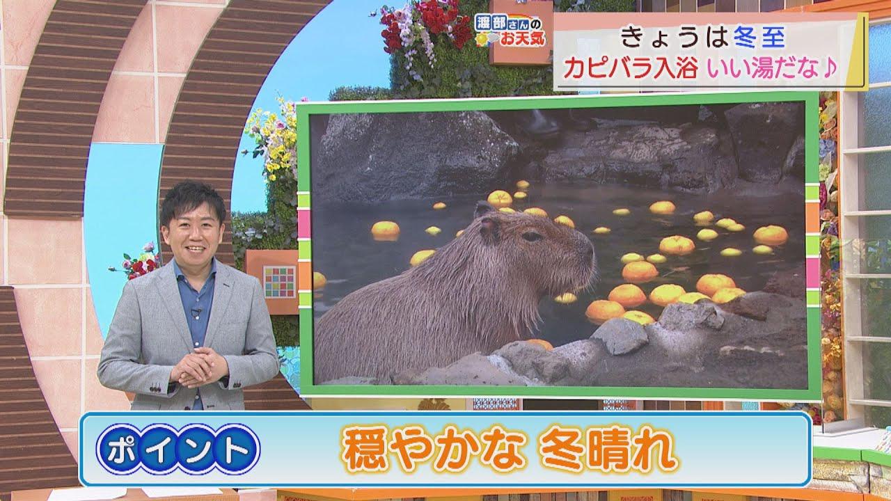 画像: 【１２月２１日　静岡】渡部さんのお天気　あすは「穏やかな冬晴れ」 youtu.be