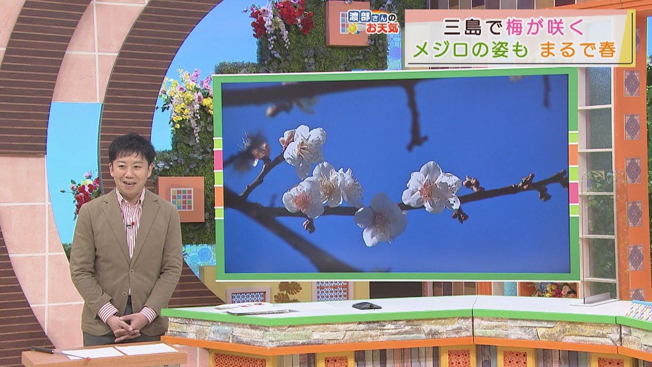 画像: 【１２月２２日　静岡】渡　あすは「日差しが暖かい」部さんのお天気 youtu.be