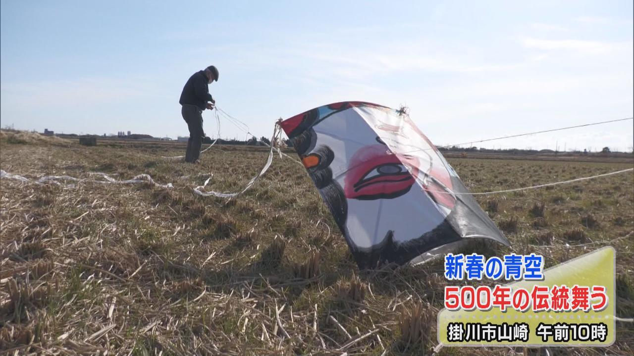 画像: 新春の青空、優雅に舞う横須賀凧　静岡・掛川市