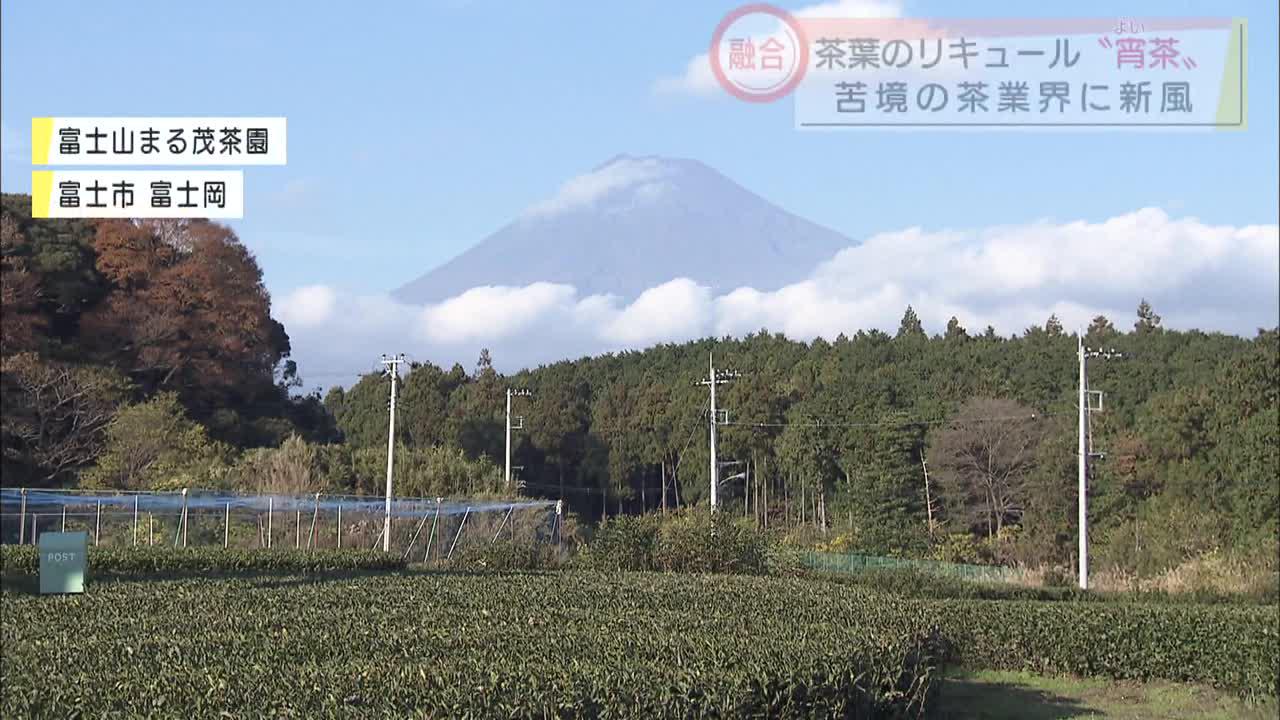 画像: 苦境の中でコロナ…茶と酒の組み合わせで状況打破へ「静岡のお茶が日本で一番面白いと思ってもらいたい」　静岡・富士市