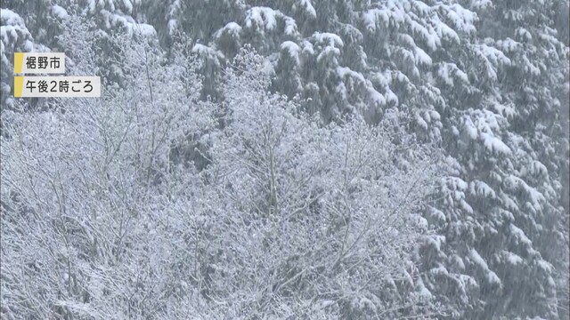 画像2: 家の屋根も真っ白に…静岡県で積雪 静岡市井川と御殿場で-2.2℃