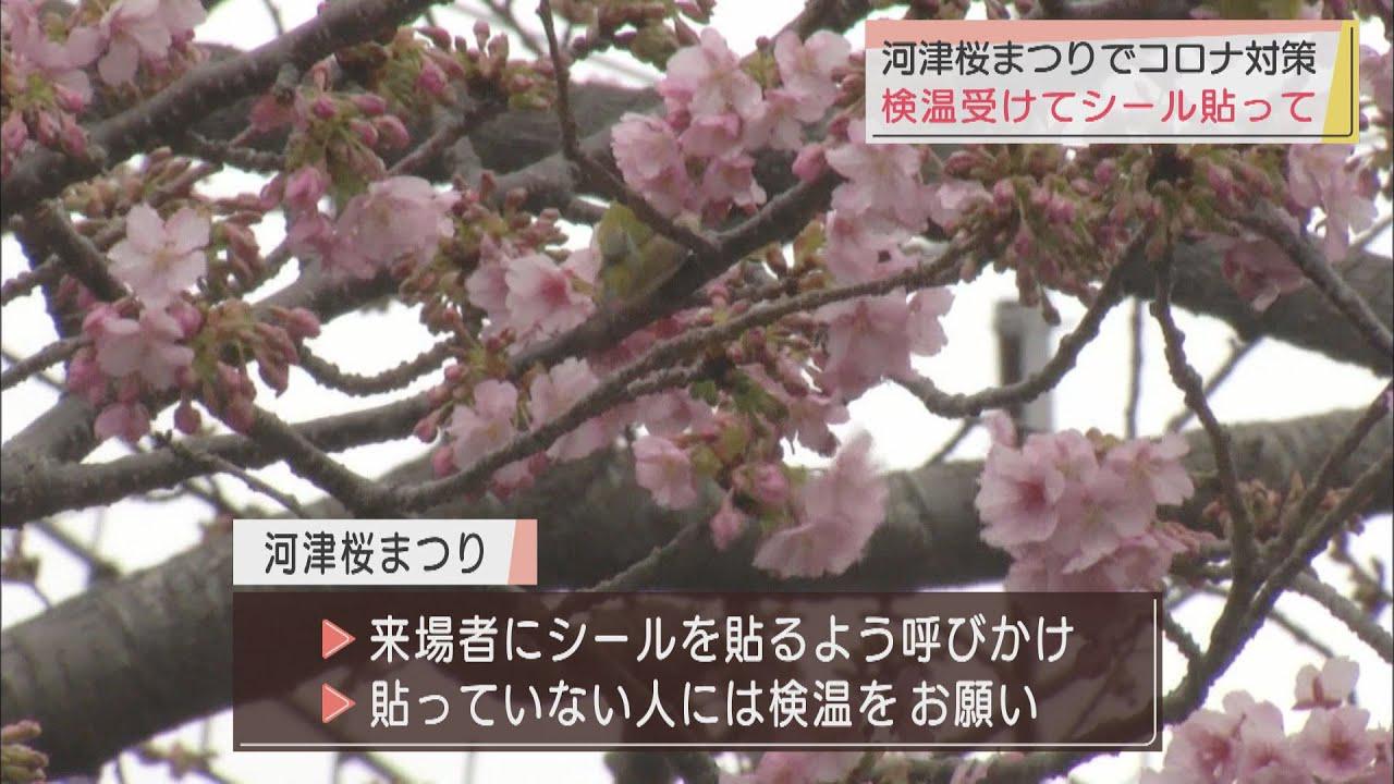 画像: 河津桜まつり会場で来場者に検温実施 混雑状況はホームページで配信 静岡・河津町 youtu.be