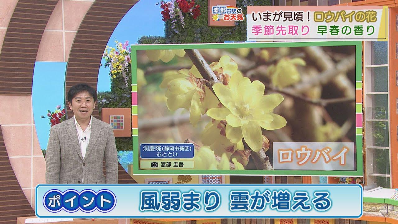 画像: 【1月19日 静岡】渡部さんのお天気 あすは「風弱まり雲増える」 youtu.be