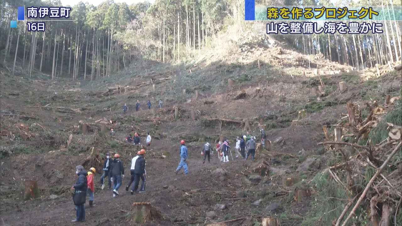 画像: 山を整備して豊かな海を作るため…広葉樹を植樹　静岡・南伊豆町 youtu.be