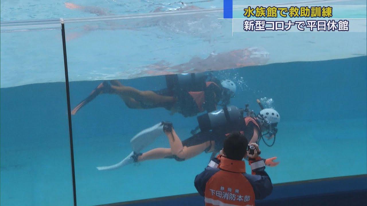 画像: イルカのショーのプールで水難救助訓練 静岡・下田市 youtu.be