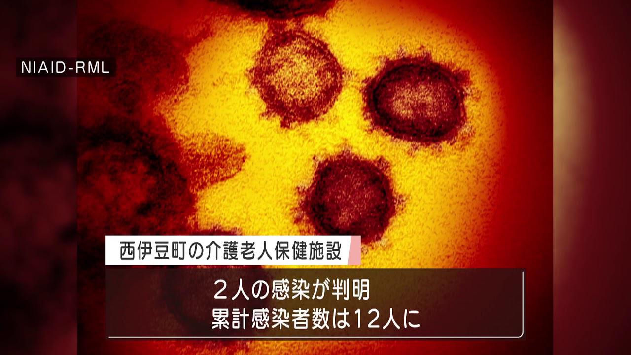 画像: 【新型コロナ】静岡県内で新たに15人が感染 新規感染者数は今年最少 ほぼ1カ月ぶりに20人を下回る youtu.be