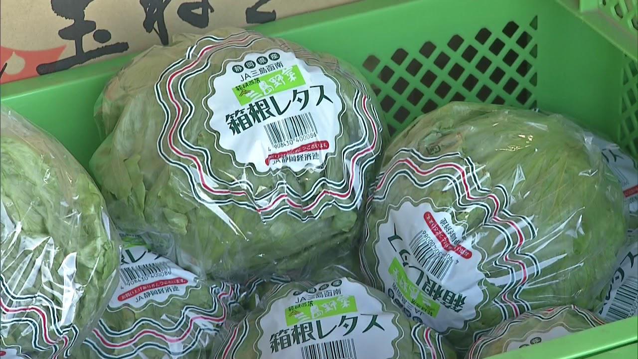 画像: 新型コロナ対策　伊豆の新鮮野菜をドライブスルーで購入　静岡・三島市 youtu.be